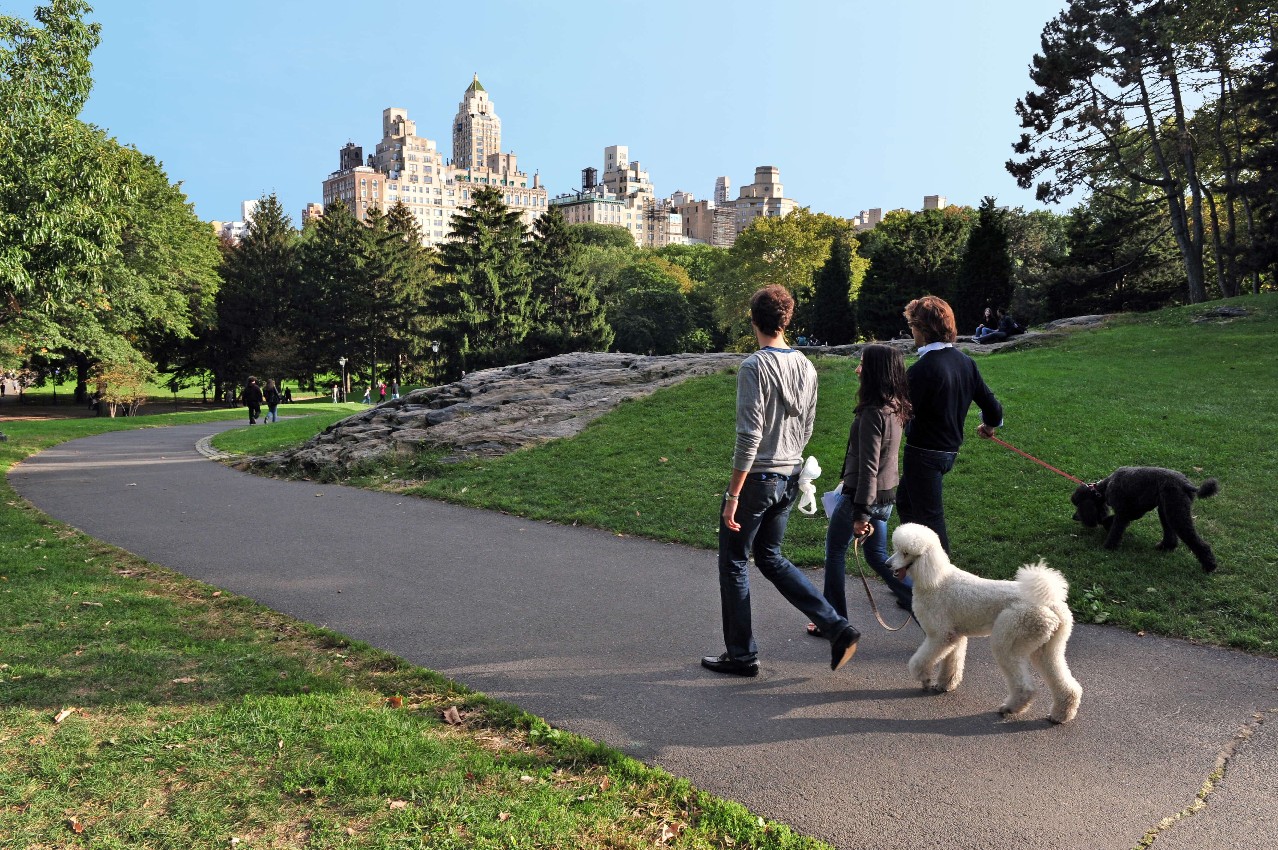 Bring Your Dog to the Central Park Fair Next Weekend