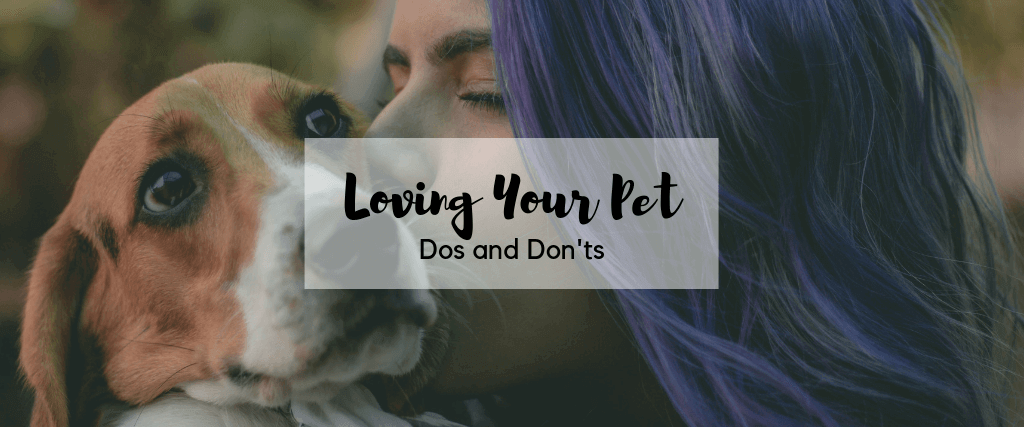 Loving Your Pet: Dos and Don’ts