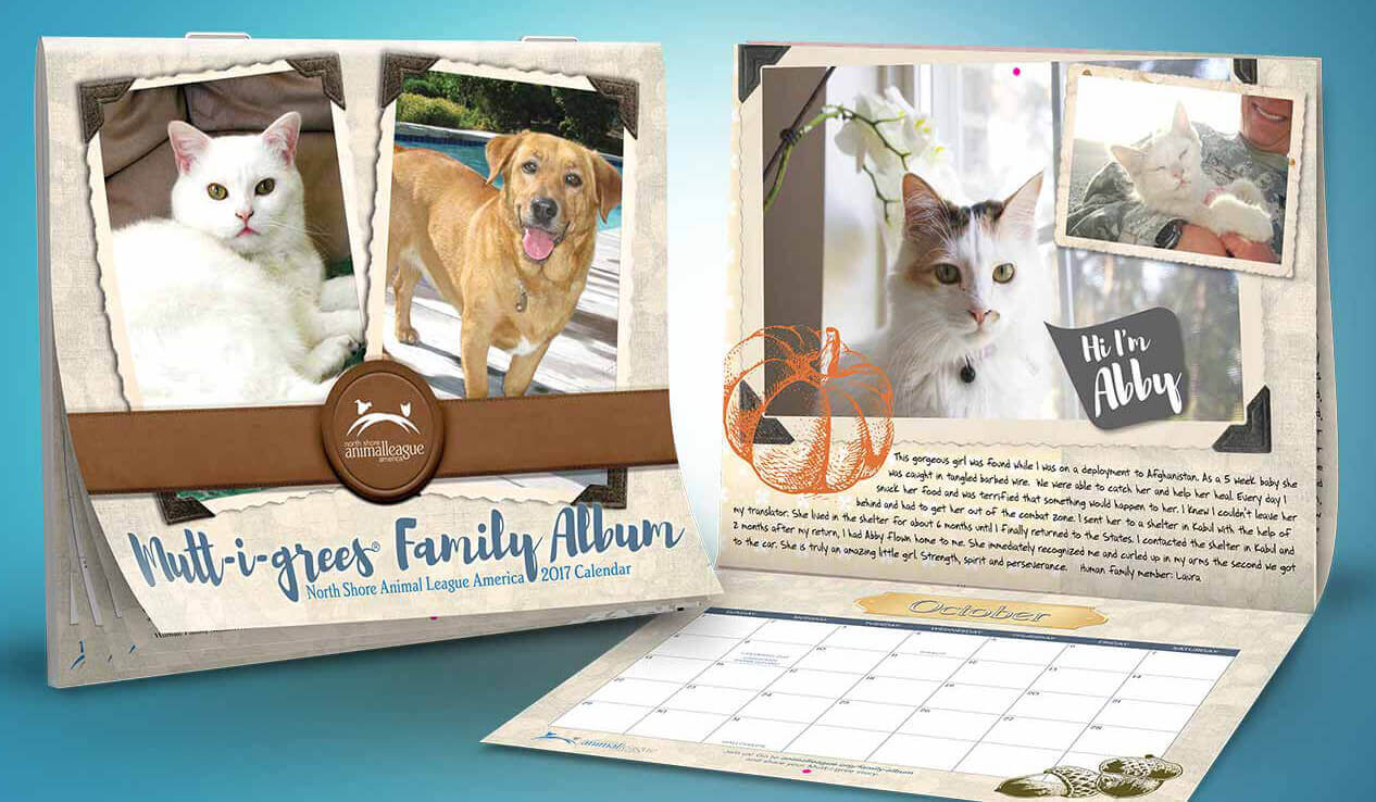 Animal Calendars for a good cause