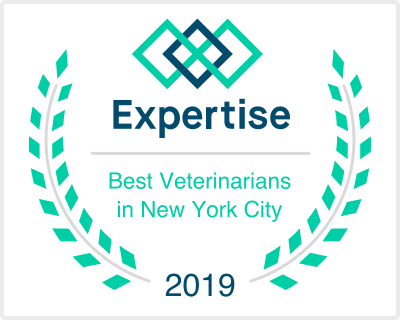 New York New York Veterinarians Expertise