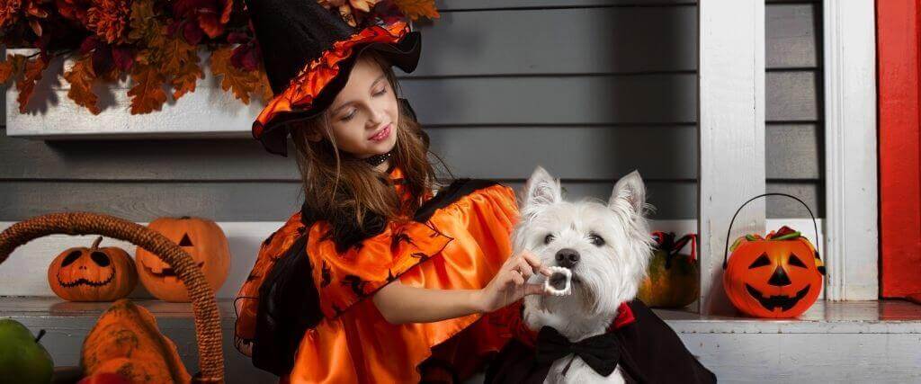 Pets + Chocolate = A Monstrous Halloween - What You Need to Know!