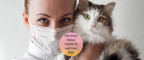How to Separate Fact From Fiction On COVID-19 and Your Pets