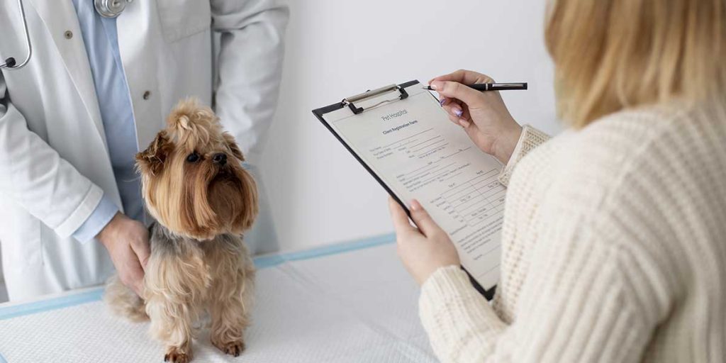 What To Expect During Your Pet’s First Wellness Exam